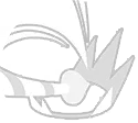 Guided Strike